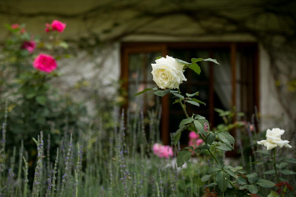 Grace Guest House Johannesburgo Exterior foto