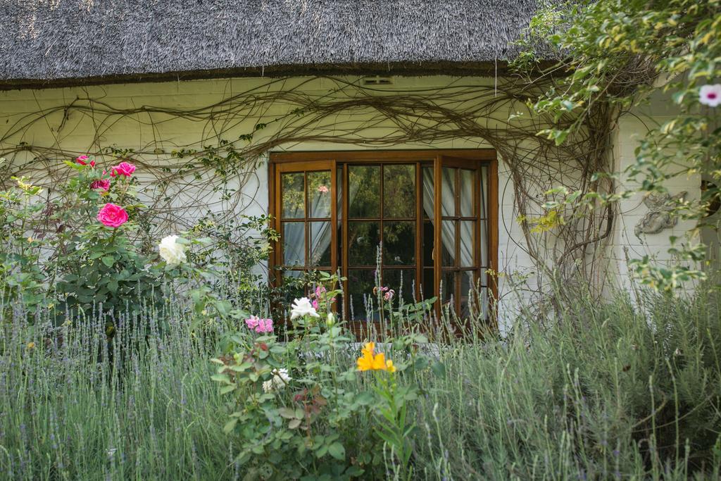 Grace Guest House Johannesburgo Exterior foto